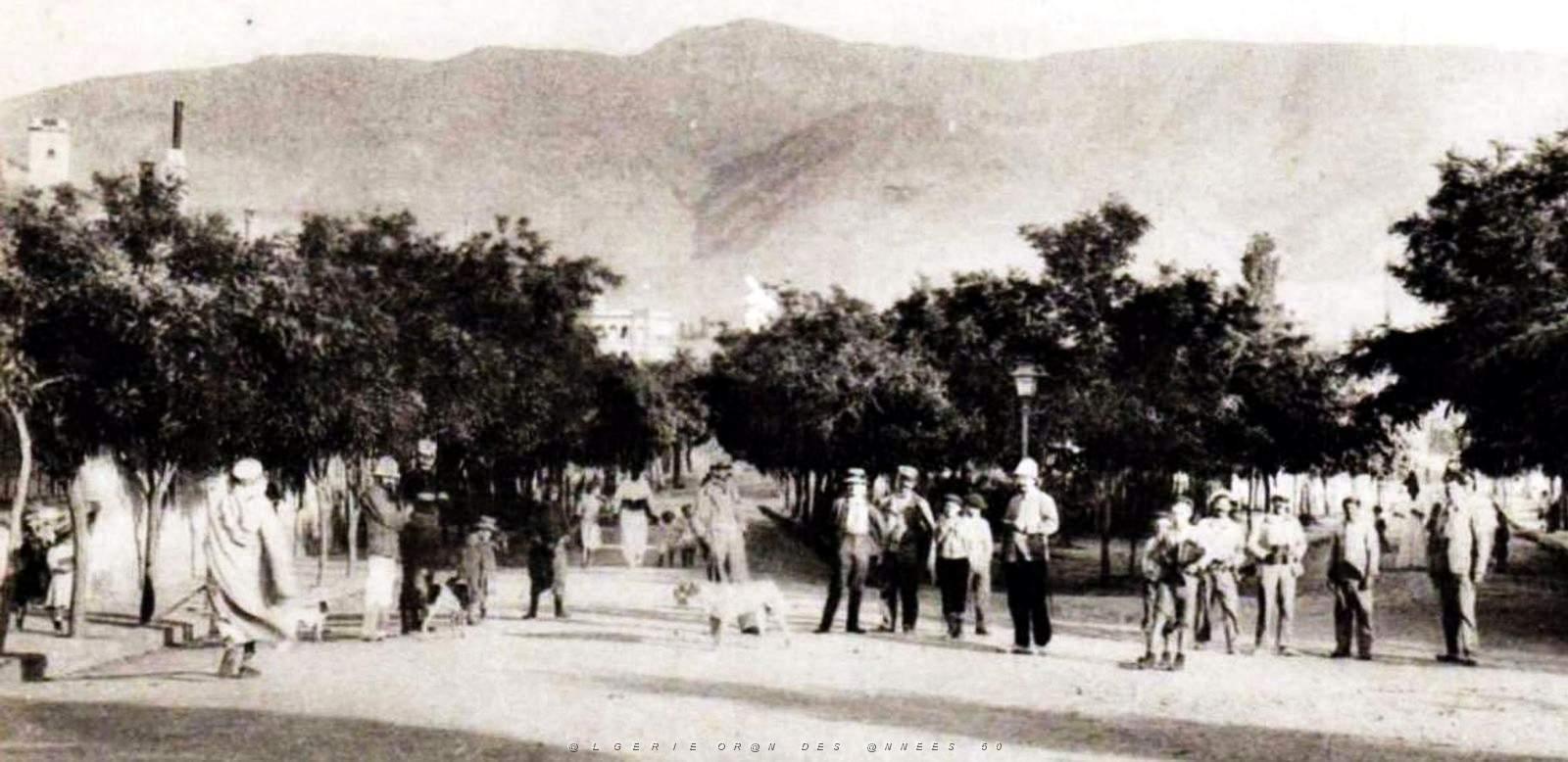 931- Ain-Sefra - Les 2 avenues de la Gare2.jpg